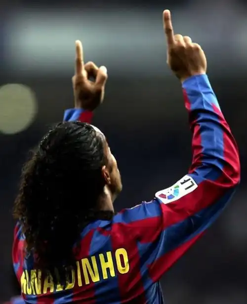 他们不仅在 他们不仅在