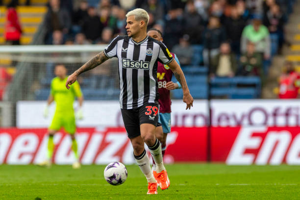 了他的公众 了他的公众